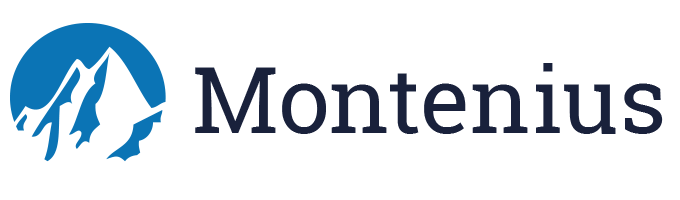 Montenius Consult ENGLISCH logo